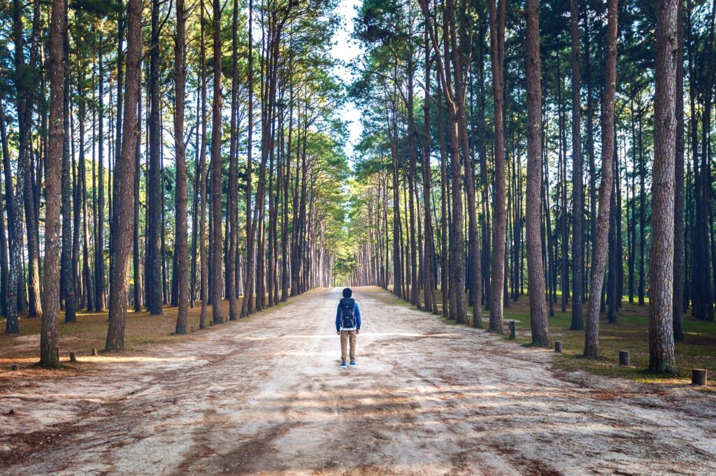 The Unlonely Path