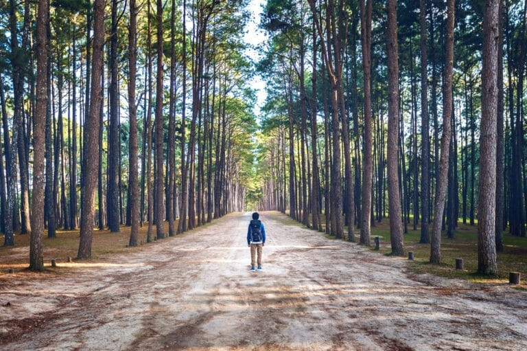 The Unlonely Path
